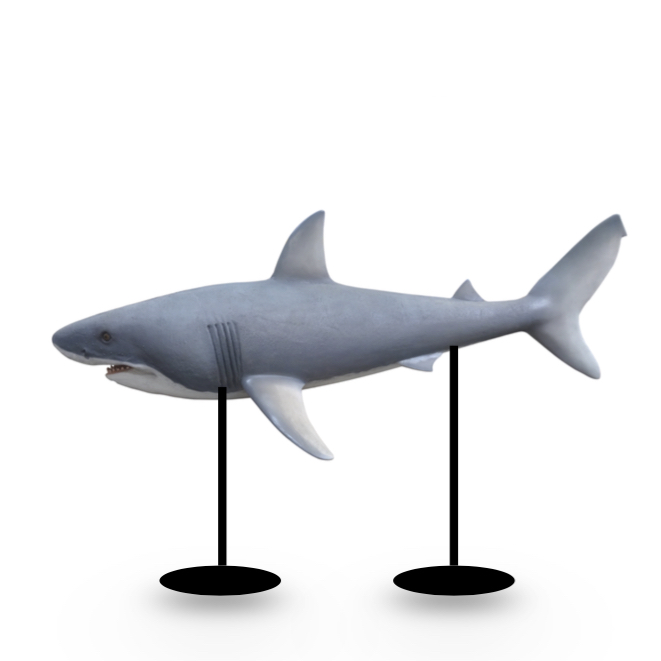 Figure – Large Shark Prop – iCatching, everything for events